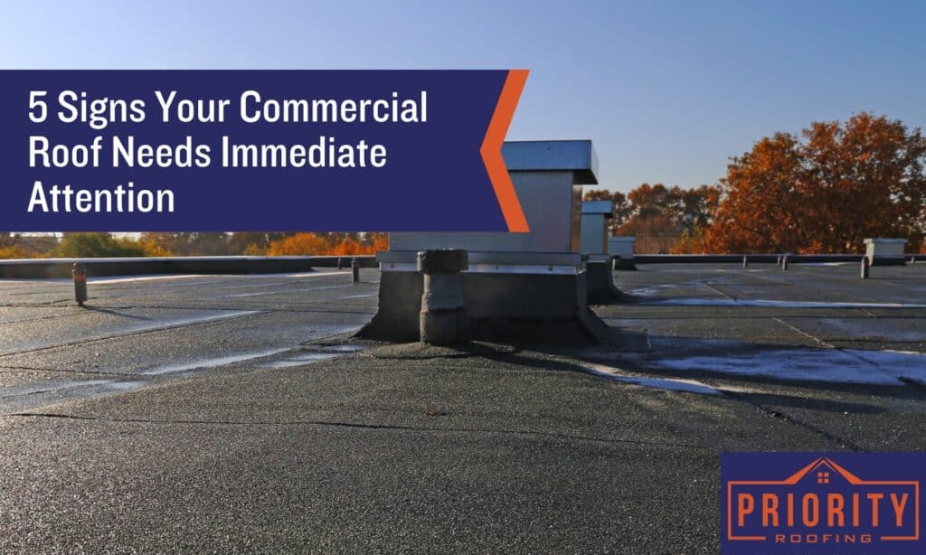 Text graphic reading '5 Signs Your Commercial Roof Needs Immediate Attention' overlaid on a flat commercial roof with standing water, framed by autumn trees and a clear sky. Includes the Priority Roofing logo in the bottom right corner.